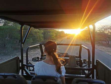 Safari Fahrzeug im Krüger Nationalpark