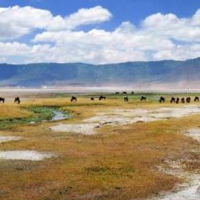 Ngorongoro Conservation Area in Tanzania