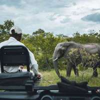 Safari Fahrzeug im Kruger