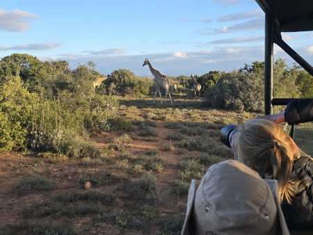 Pirschfahrt durch den Nationalpark