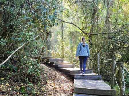Küstenwanderung in Tsitsikamma