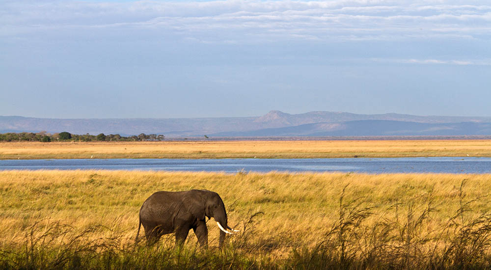 Katisunga alluvial area in Katavi national park
