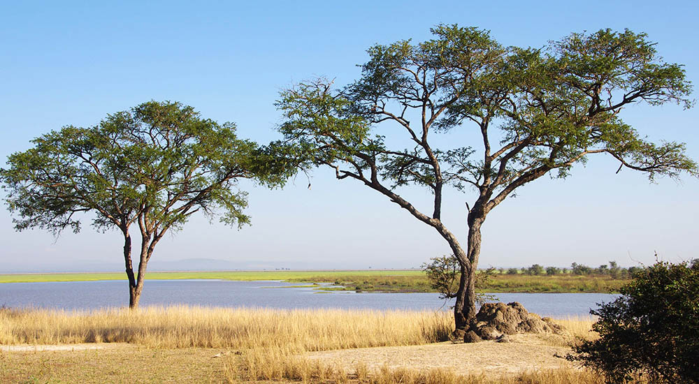 River in the Katavi national park