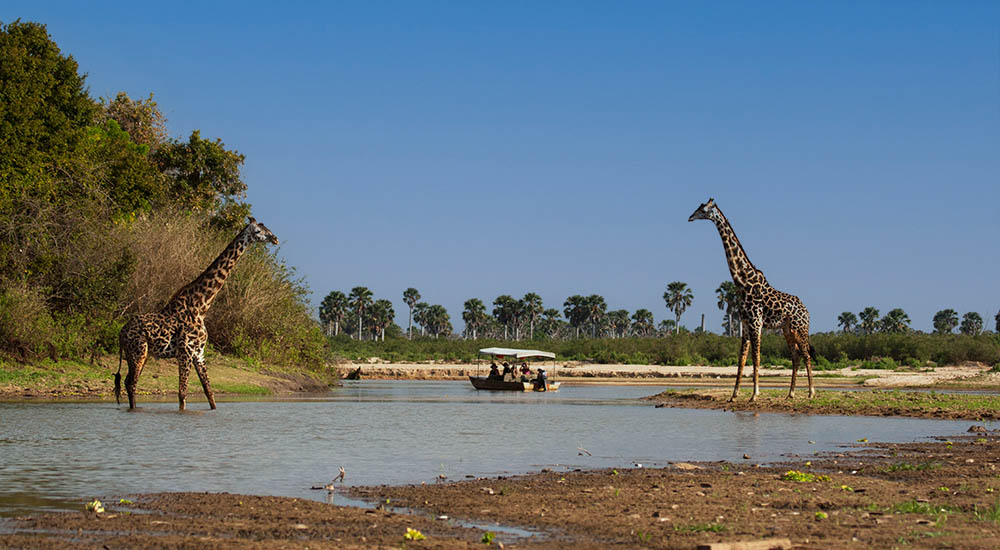 Boot Safari im Nyerere Nationalpark