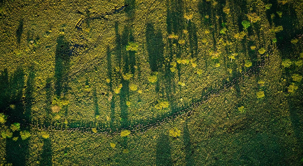 FLug über die Grosse Migration