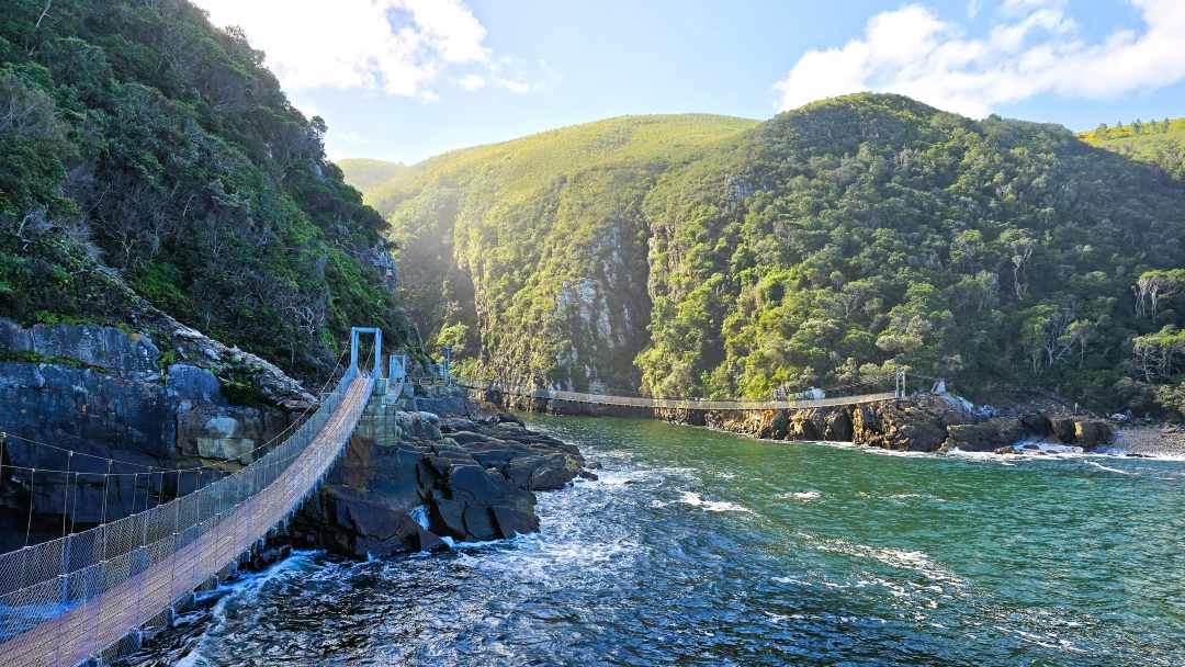 Brücke im Tsitsikamma Nationalpark
