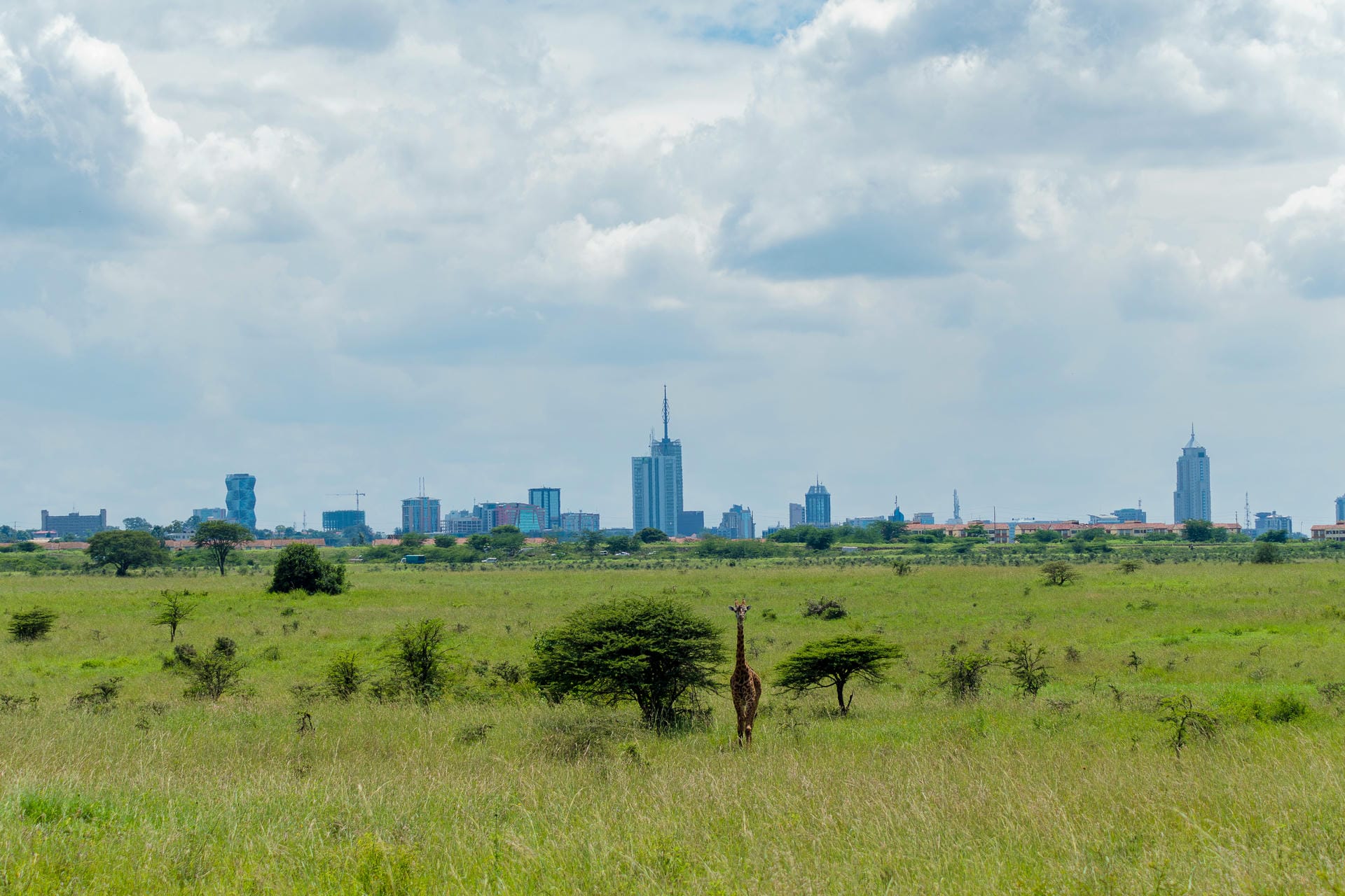 National park with Nairobi in the background