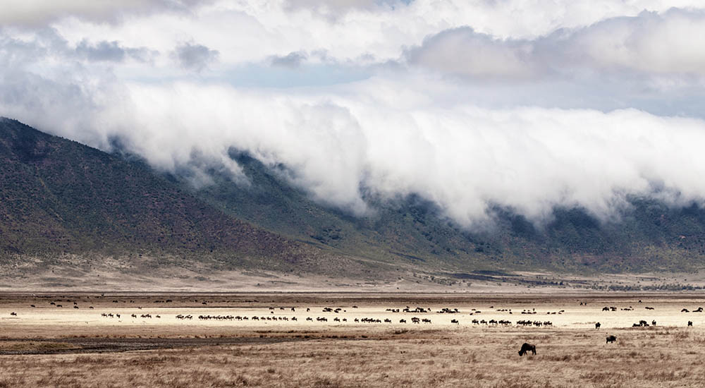 Landscape in the Ngorongoro Crater
