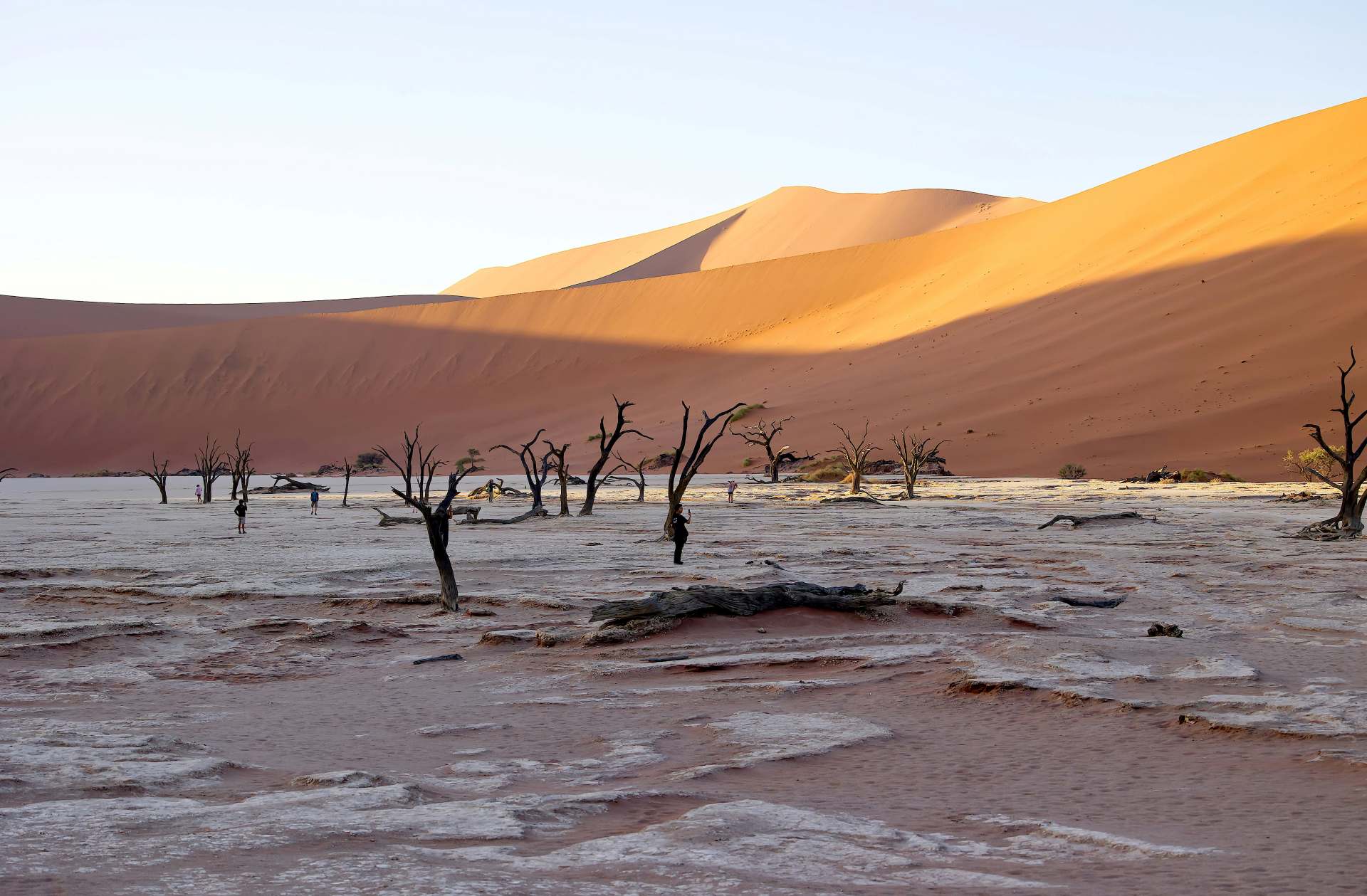 Deadvlei at sunrise