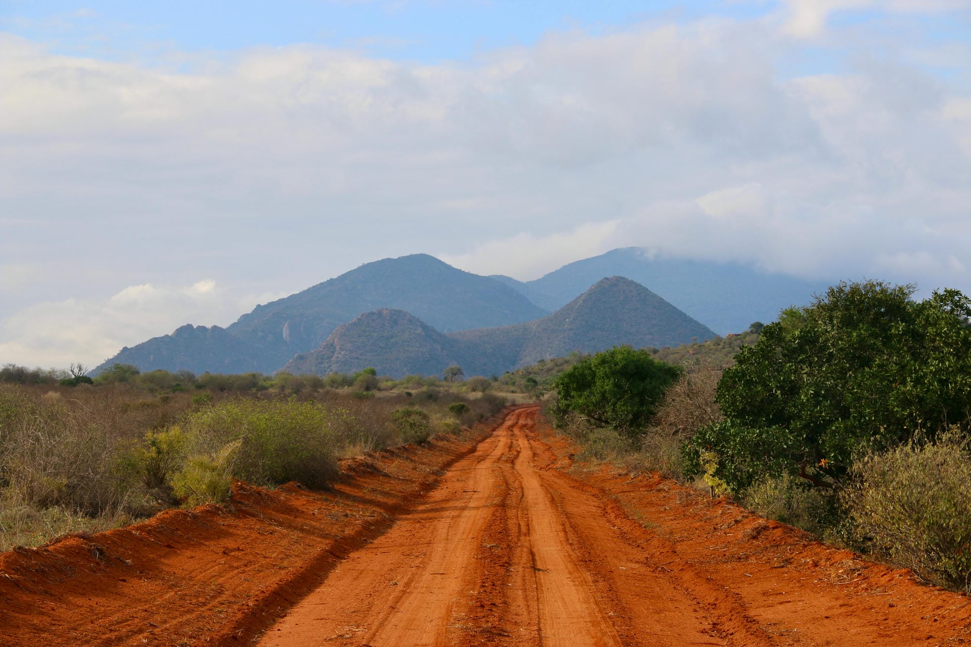 Red earth in Tsavo National Park