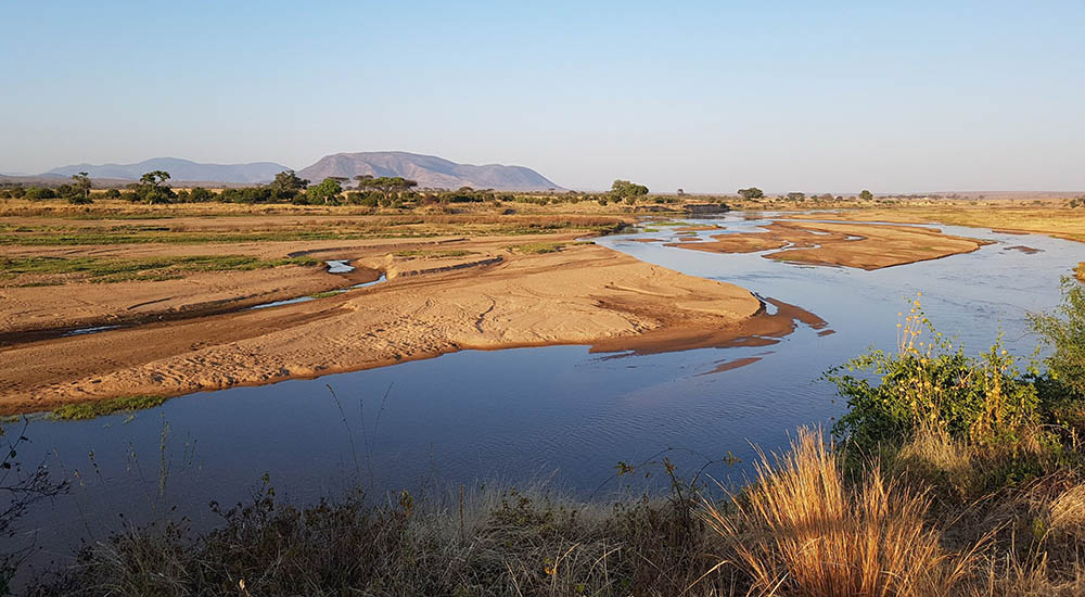 Ruaha national park Landscape