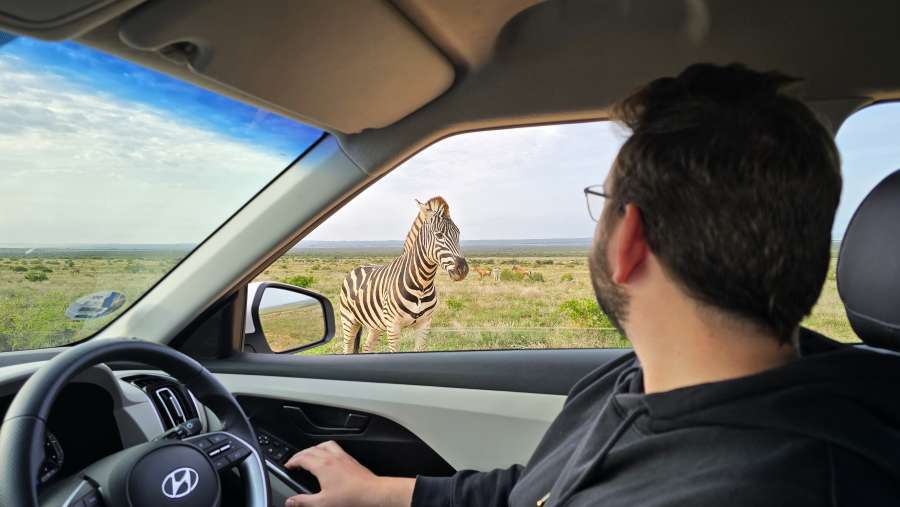 Auf Selbstfahrerreise durch Südafrika